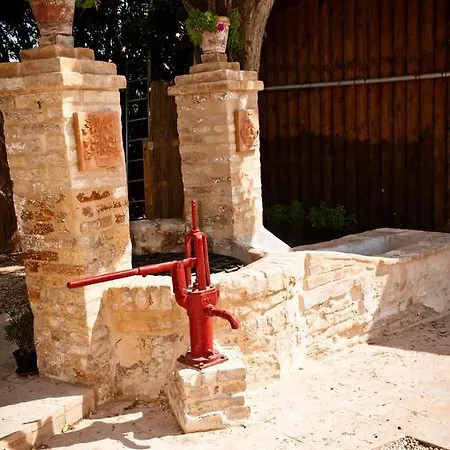 La Cipolla D'oro Potenza Picena