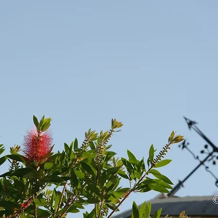 La Cipolla D'oro Gospodarstwo wiejskie