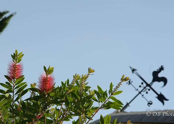 La Cipolla D'oro Country house